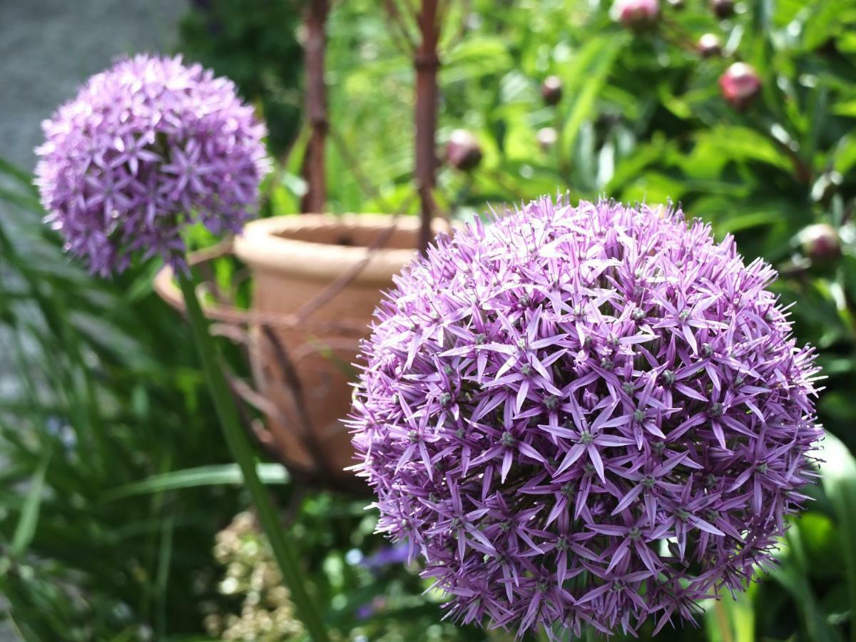 Ferienhaus In Der Schlipfing Mit Garten Altmünster Exteriér fotografie