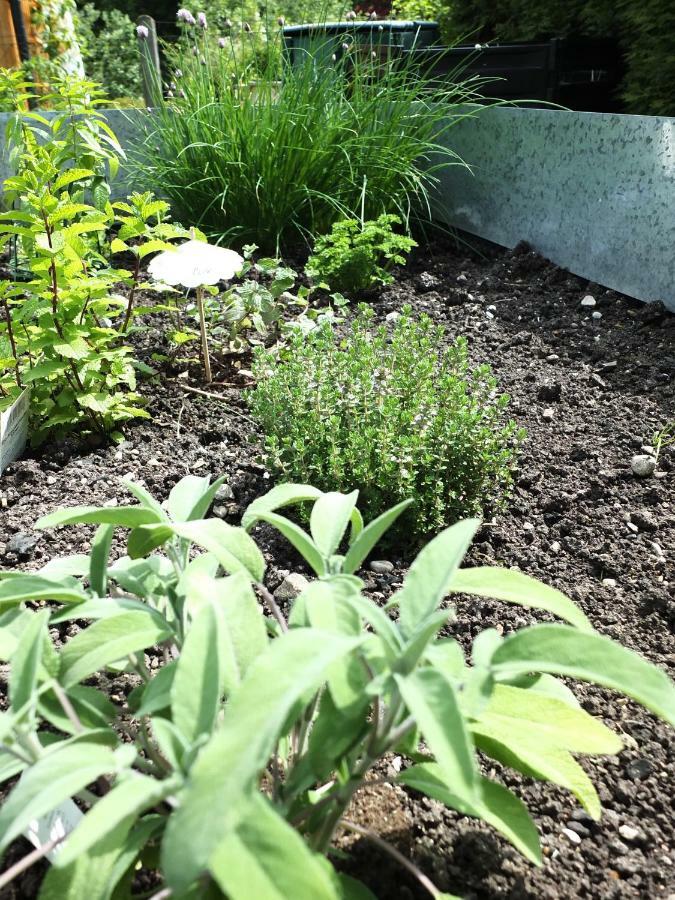 Ferienhaus In Der Schlipfing Mit Garten Altmünster Exteriér fotografie
