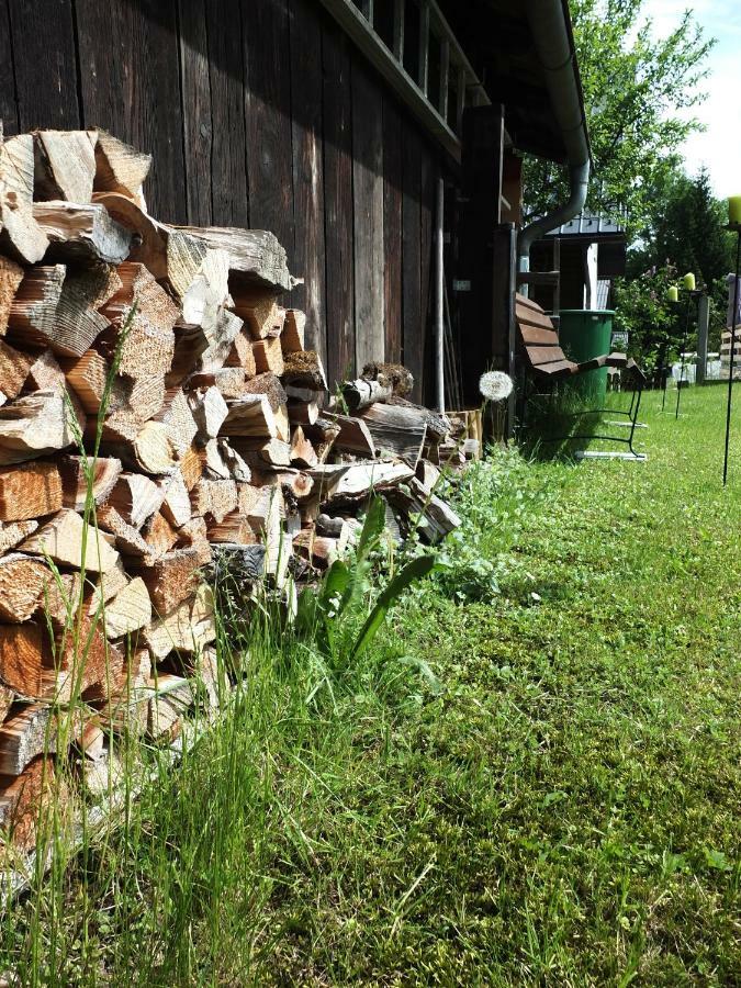 Ferienhaus In Der Schlipfing Mit Garten Altmünster Exteriér fotografie