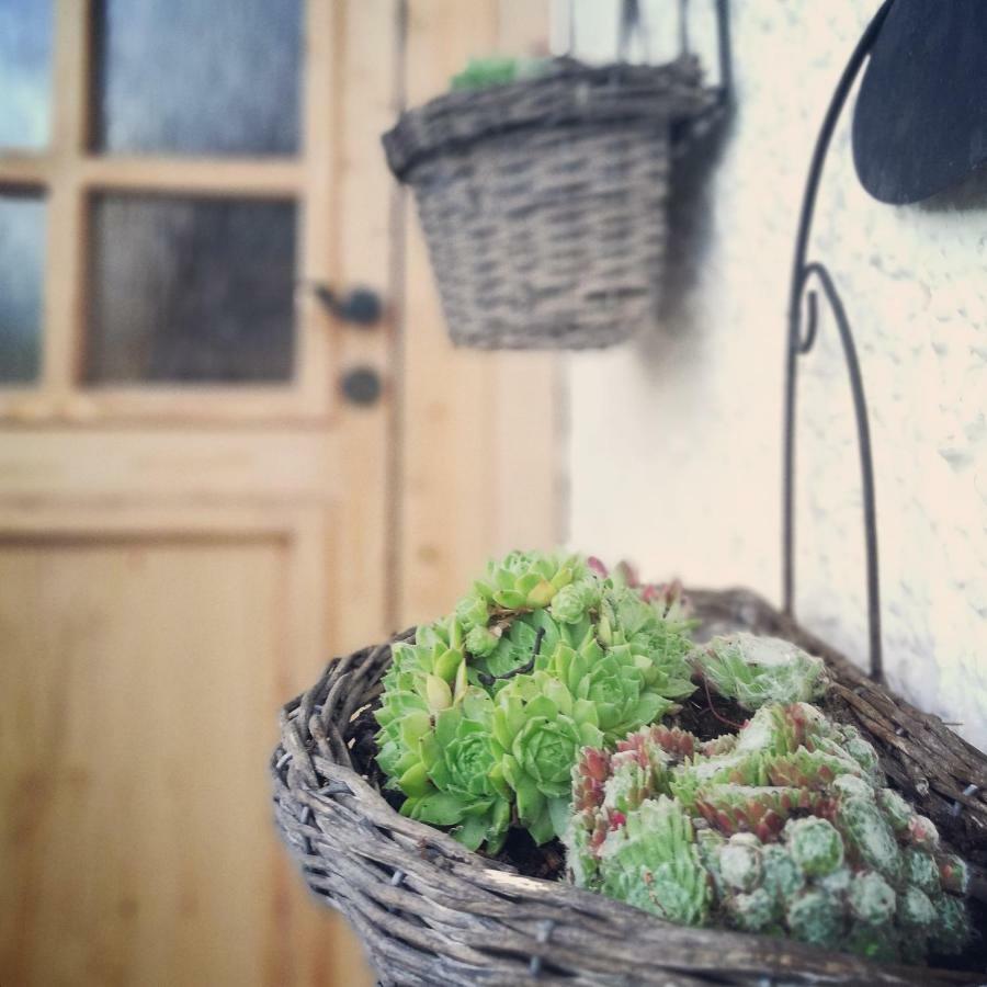 Ferienhaus In Der Schlipfing Mit Garten Altmünster Exteriér fotografie