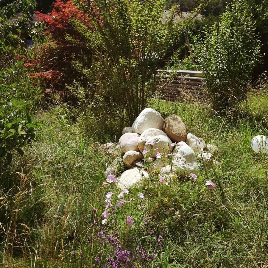 Ferienhaus In Der Schlipfing Mit Garten Altmünster Exteriér fotografie